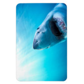 Magnet Flexible Great White Shark | Afrique du Sud (Vertical)