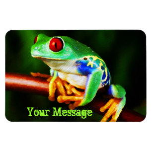 Magnet Flexible Grenouille 1 aimant Premium
