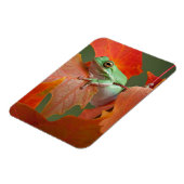 Magnet Flexible Grenouille D'Arbre Vert À L'Automne (Côté Gauche)