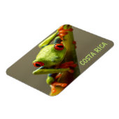 Magnet Flexible Grenouille d'arbre vous regardez au Costa Rica (Côté Gauche)
