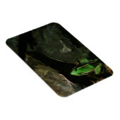 Magnet Flexible Grenouille léopard du Nord sur les rochers Abstrai (Côté Droit)