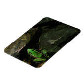Magnet Flexible Grenouille léopard du Nord sur les rochers Abstrai (Côté Gauche)