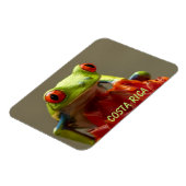 Magnet Flexible Grenouille tropicale aux yeux rouges au Costa Rica (Côté Gauche)