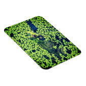 Magnet Flexible Grenouille verte Amphibiens Pond Life (Côté Droit)