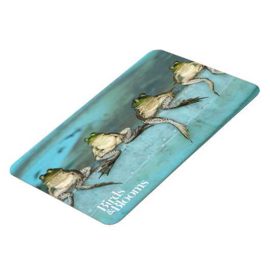 Magnet Flexible Grenouilles assis (Côté Gauche)