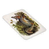 Magnet Flexible Grey Fox / Grey Fox Audubon's American Quadrupeds (Côté Droit)