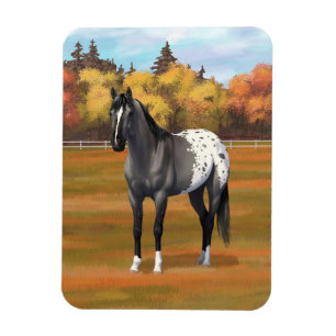 Magnet Flexible Gris Grulla Appaloosa Quartier Horse Stallion