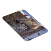 Magnet Flexible Gris loup aimant (Côté Droit)