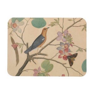 Magnet Flexible Grive et mite moulues sur une branche d'orchidée