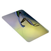 Magnet Flexible Gros aimant Mantis de prière (Côté Droit)