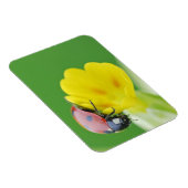 Magnet Flexible Gros plan de Ladybug (Côté Droit)