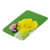 Magnet Flexible Gros plan de Ladybug (Côté Gauche)