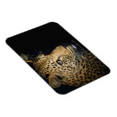 Magnet Flexible Gros plan de Leopard, Grand Kruger National (Côté Droit)