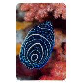 Magnet Flexible Gros plan de poisson-ange empereur (Vertical)