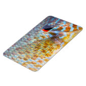 Magnet Flexible Gros Plan D'écailles De Poisson (Côté Gauche)