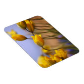 Magnet Flexible Gros plan des jonquilles (Côté Droit)