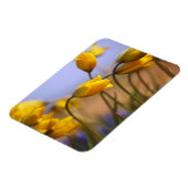 Magnet Flexible Gros plan des jonquilles (Côté Gauche)