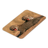 Magnet Flexible Gros Plan Du Nouveau Léopard (Panthera Pardus) (Côté Gauche)