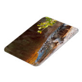 Magnet Flexible Gros plan d'un alligator américain au J.N. (Côté Gauche)