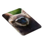 Magnet Flexible Gros plan d'une Gibbon pendante (Côté Droit)