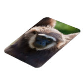 Magnet Flexible Gros plan d'une Gibbon pendante (Côté Gauche)