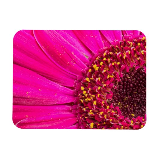 Magnet Flexible Gros plan d'une marguerite de Gerber (Horizontal)