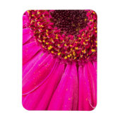 Magnet Flexible Gros plan d'une marguerite de Gerber (Vertical)