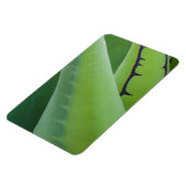 Magnet Flexible Gros Plan Sur Agave (Côté Gauche)