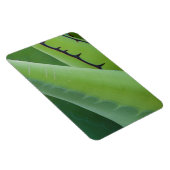 Magnet Flexible Gros Plan Sur Agave (Côté Droit)