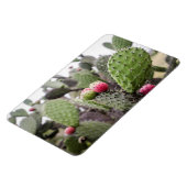 Magnet Flexible Gros plan sur le cactus figuier de barbarie (Côté Gauche)