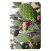 Magnet Flexible Gros plan sur le cactus figuier de barbarie (Vertical)