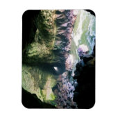 Magnet Flexible Grotte de lion de mer, OU (Vertical)