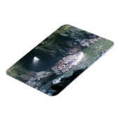 Magnet Flexible Grotte de lion de mer, OU (Côté Gauche)