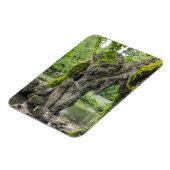 Magnet Flexible Grotto Lille Jardin Vauban vue aimant frigo (Côté Gauche)