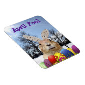 Magnet Flexible Groundhog April Fool Day (Côté Droit)