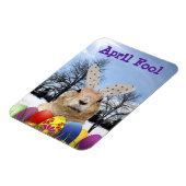 Magnet Flexible Groundhog April Fool Day (Côté Gauche)