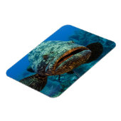 Magnet Flexible Groupe de Atlantic (Côté Gauche)