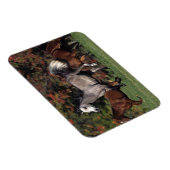 Magnet Flexible Groupe de Chevaux arabes en course (Côté Droit)