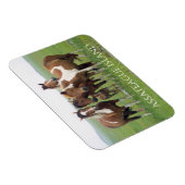 Magnet Flexible Groupe de chevaux, Assateague National Seashore (Côté Droit)
