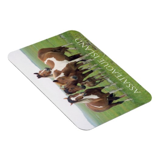 Magnet Flexible Groupe de chevaux, Assateague National Seashore (Côté Droit)