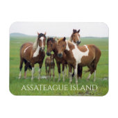 Magnet Flexible Groupe de chevaux, Assateague National Seashore (Horizontal)