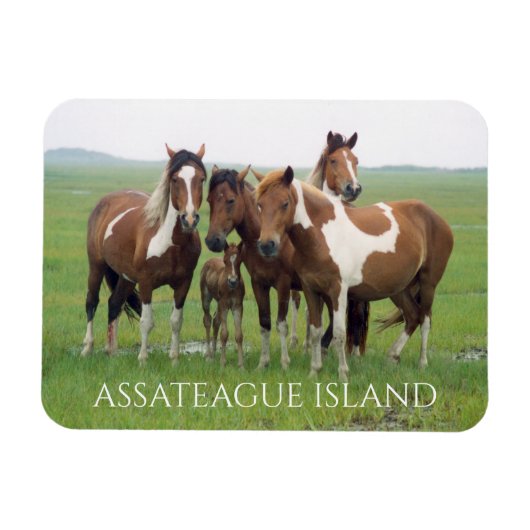 Magnet Flexible Groupe de chevaux, Assateague National Seashore (Horizontal)