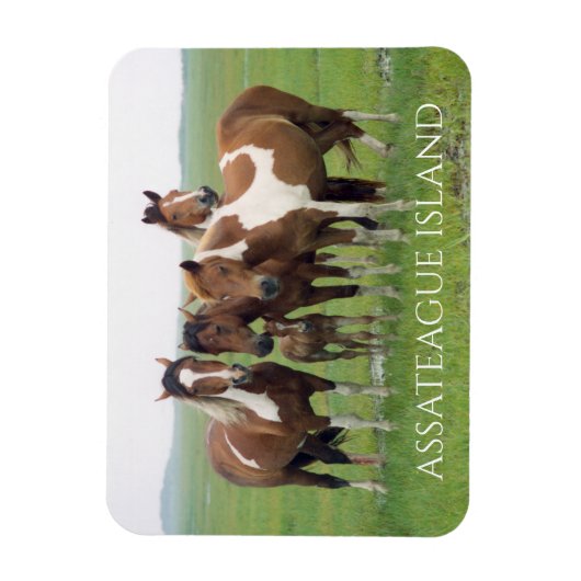 Magnet Flexible Groupe de chevaux, Assateague National Seashore (Vertical)