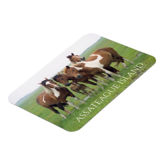 Magnet Flexible Groupe de chevaux, Assateague National Seashore (Côté Gauche)