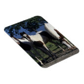 Magnet Flexible Groupe de Chevaux de Peinture (Côté Droit)