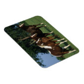 Magnet Flexible Groupe de Chevaux de Peinture debout (Côté Droit)