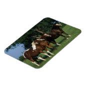 Magnet Flexible Groupe de Chevaux de Peinture debout (Côté Gauche)