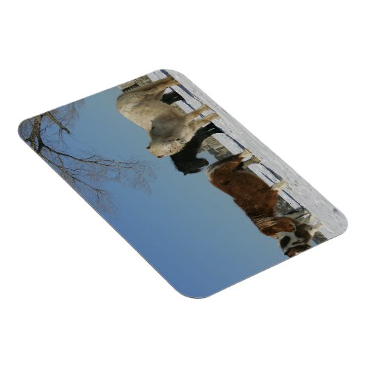 Magnet Flexible Groupe de Chevaux miniatures dans la neige (Côté Droit)