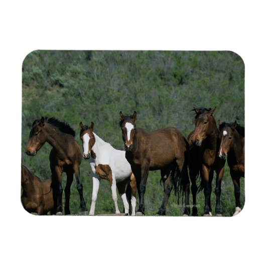 Magnet Flexible Groupe de Chevaux sauvages Mustang (Horizontal)