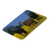 Magnet Flexible Groupe de chevaux Thoroughbred (Côté Gauche)